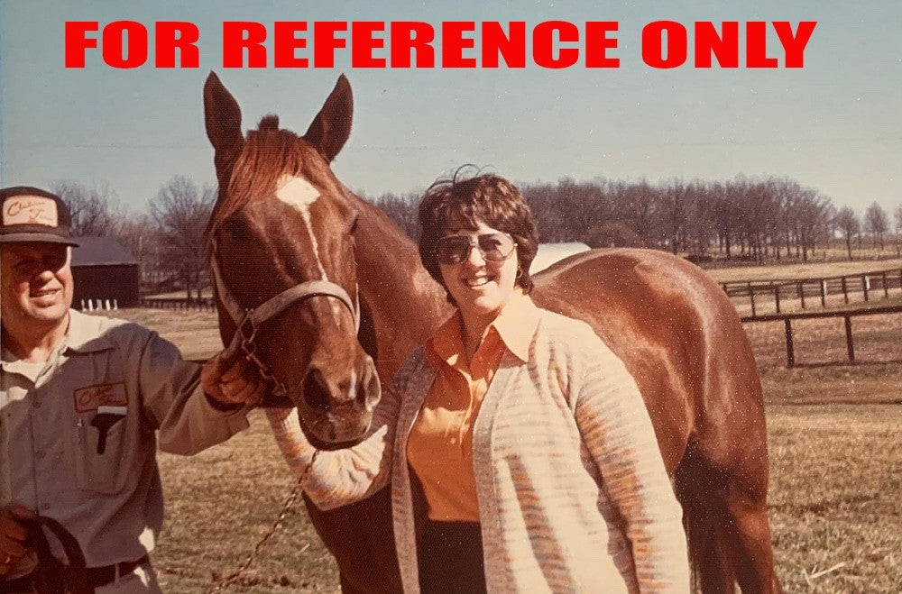 SECRETARIAT * Owned & Worn HORSESHOE Champion Thoroughbred * CLAIBORNE FARM COA