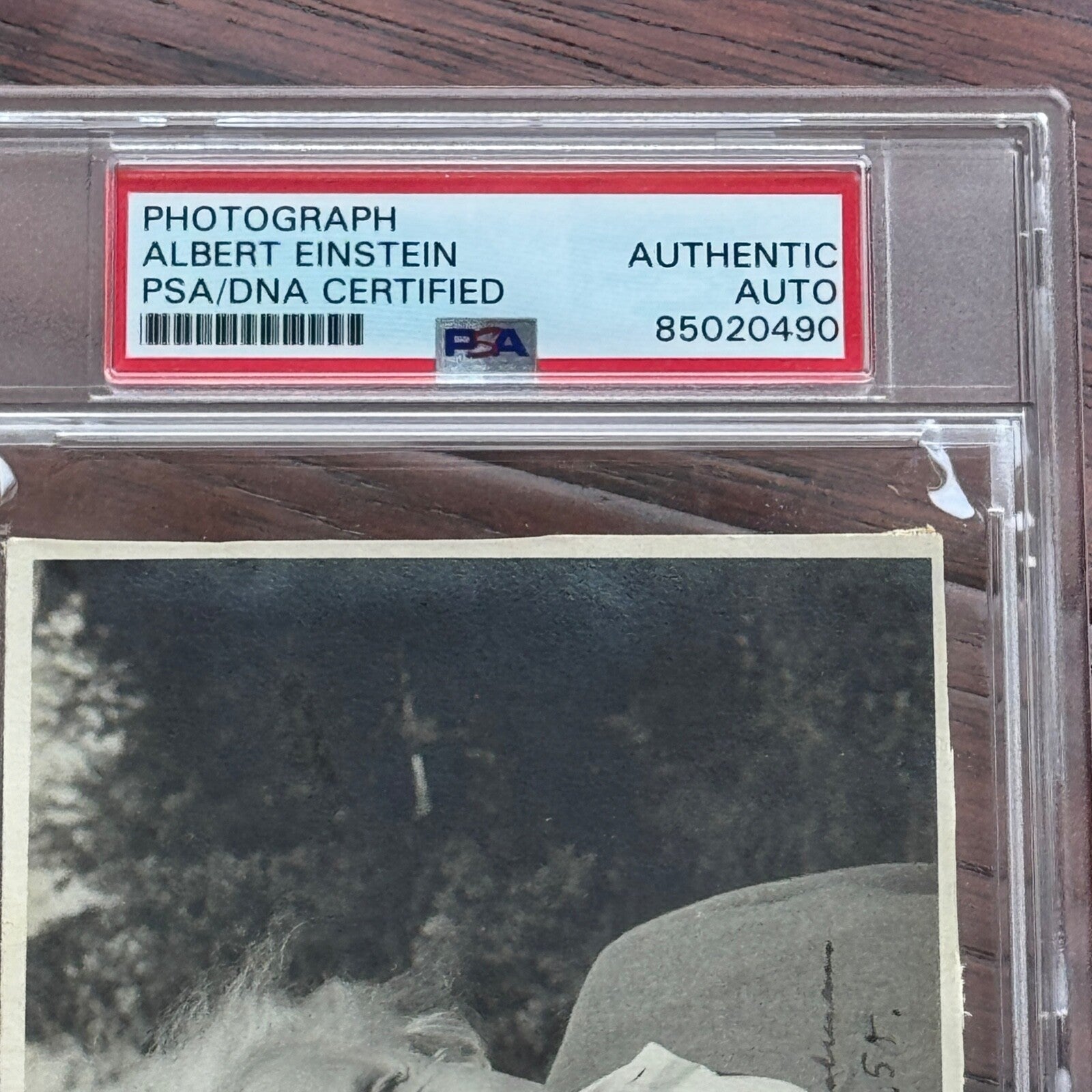 ALBERT EINSTEIN * PSA * Autograph Candid 1950 PHOTOGRAPH Portrait Signed Type 1