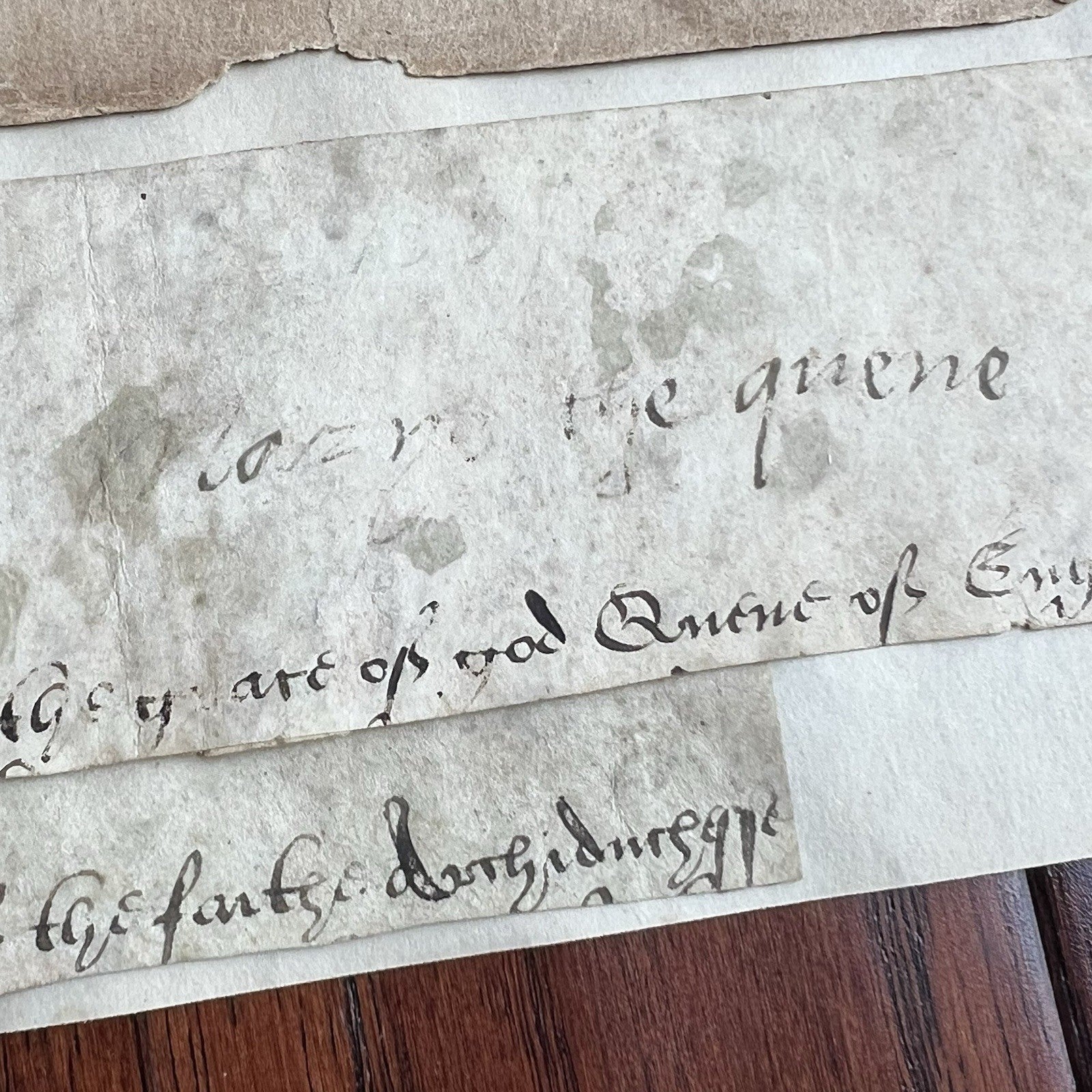 Queen MARY I * PSA * Scarce 1557 "Bloody Mary" Autograph Cut Signature Signed
