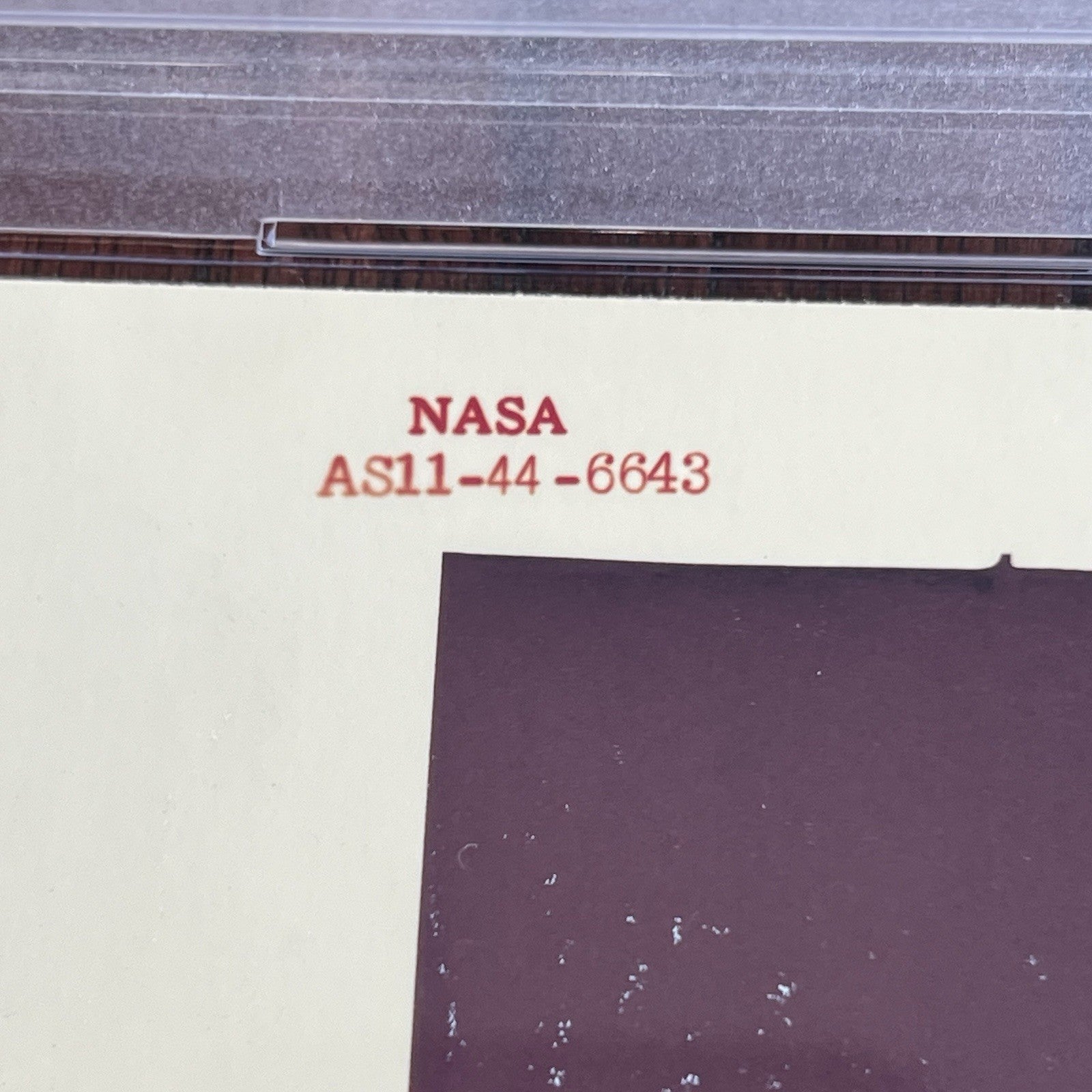 APOLLO 11 * PSA TYPE 1 PHOTOGRAPH * NASA Lunar Module EAGLE Earth's Moon