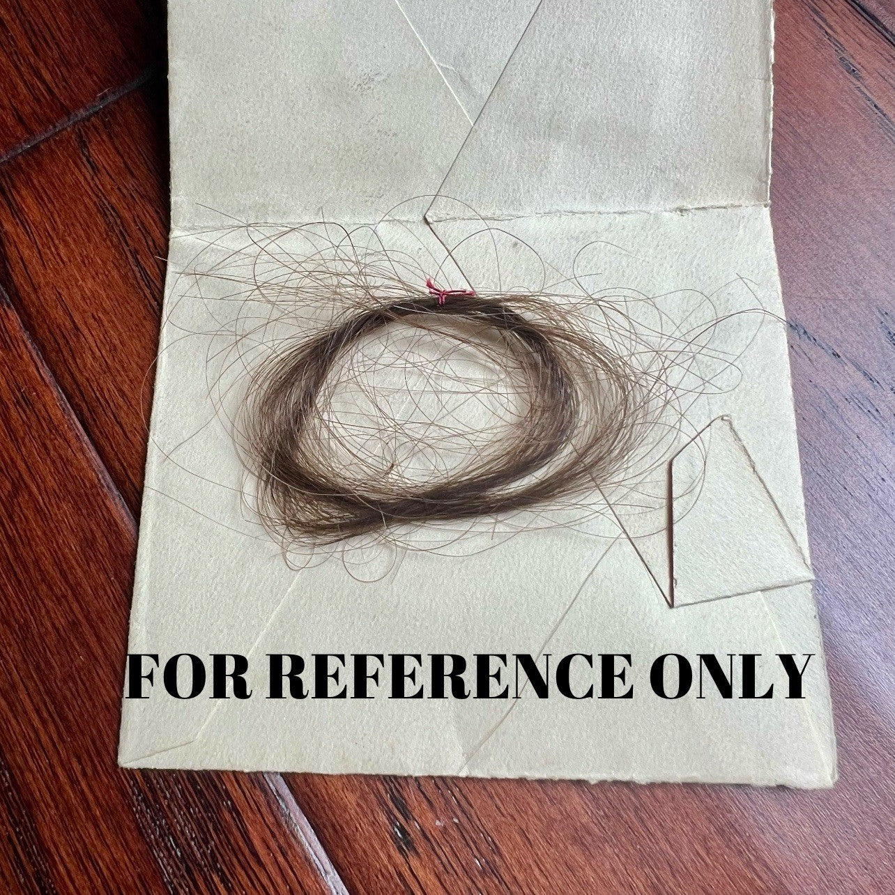 CHARLOTTE BRONTË * "Jane Eyre" Author Authentic Genuine HAIR STRAND Ellen Nussey