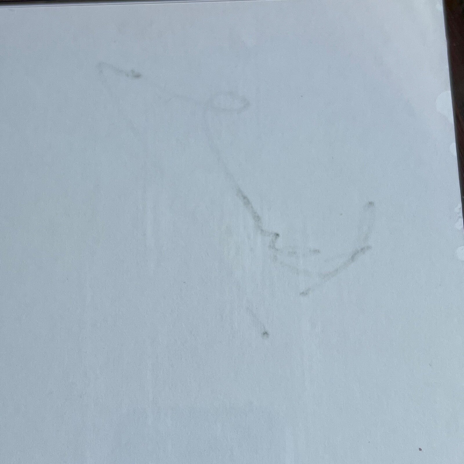 PAUL MCCARTNEY * PSA/DNA * "Yesterday" Song Autograph Souvenir Signed * Beatles