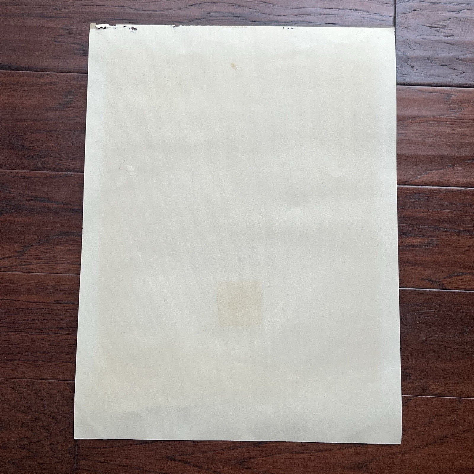 AMELIA EARHART * Original LARGE Flown Vega 5B Fabric Ex Smithsonian Institution