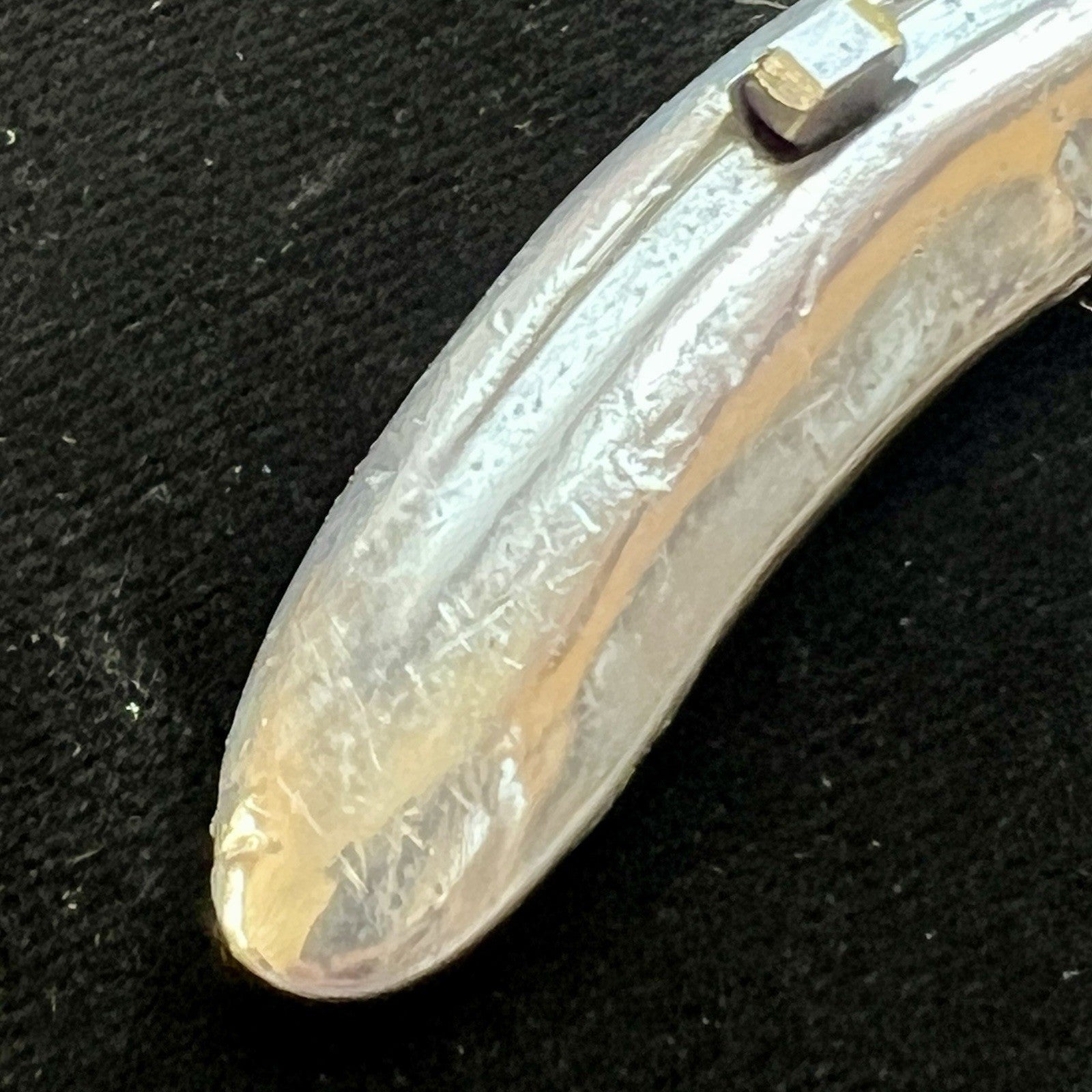 SECRETARIAT * Owned & Worn HORSESHOE Champion Thoroughbred * CLAIBORNE FARM COA