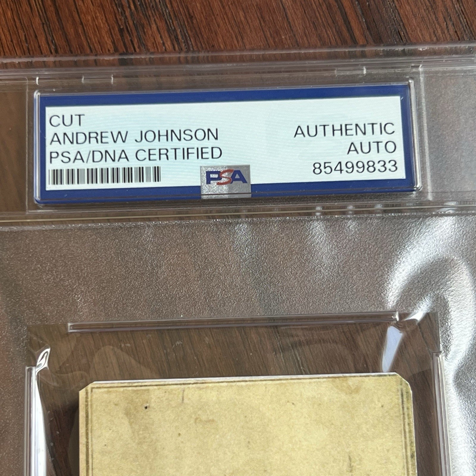 ANDREW JOHNSON * PSA * Autograph Cut Signature CDV Signed President Photograph