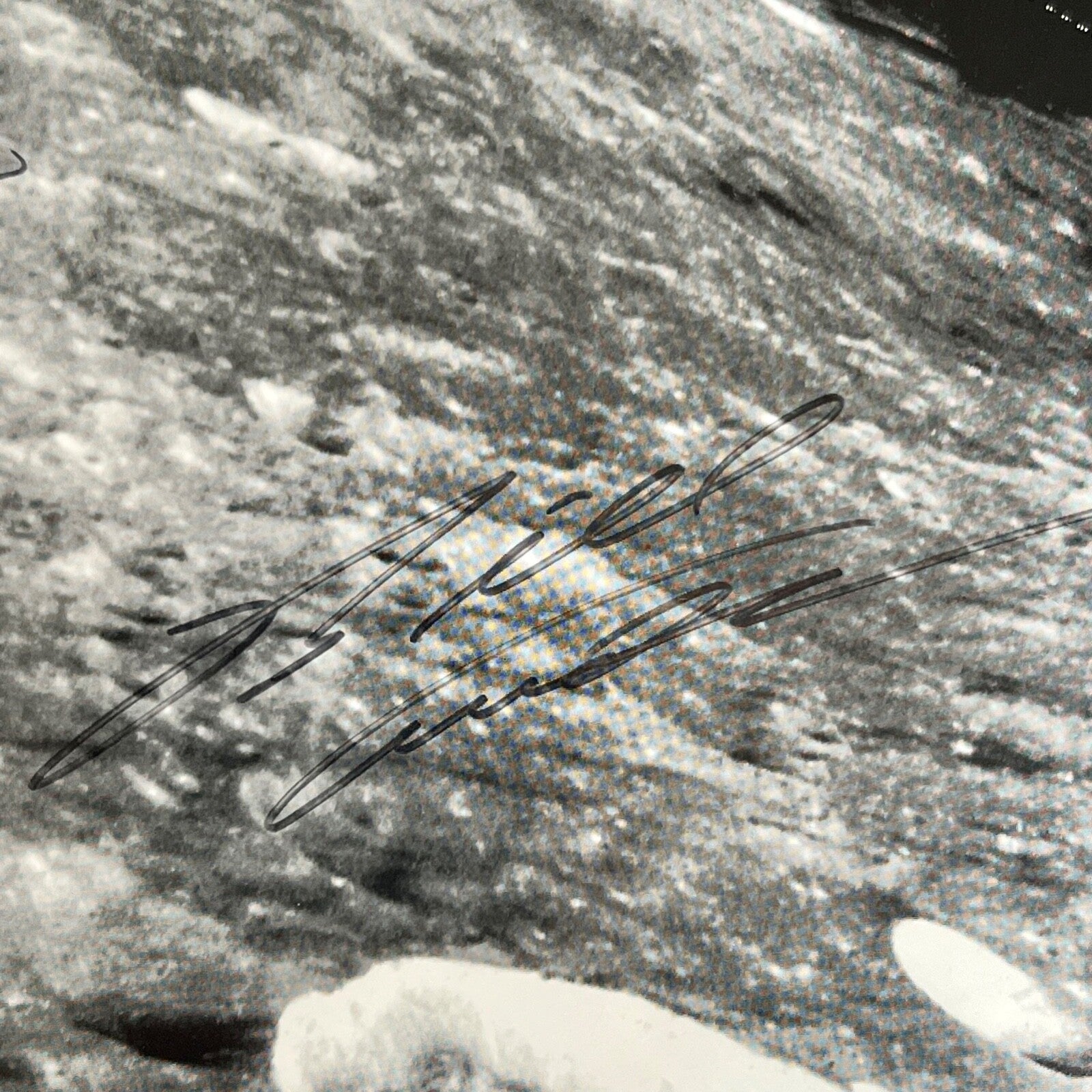 APOLLO 8 CREW SIGNED * WILLIAM BILL ANDERS LOVELL * Autograph Earthrise Poster