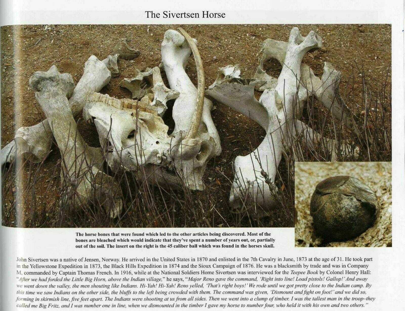 Battle of Little Bighorn * HORSE SKELETON Dug Artifact * Custer's Last Stand