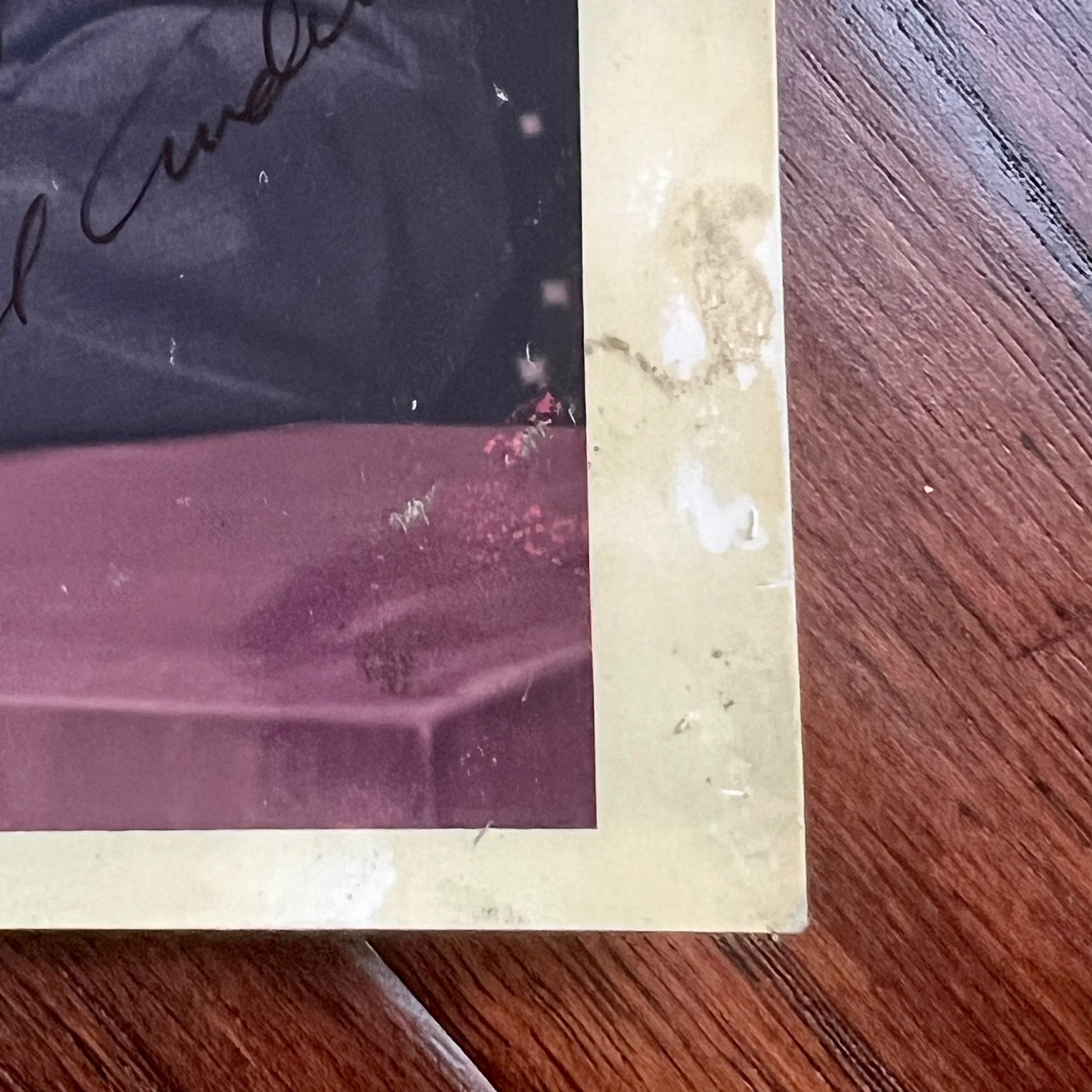 BILL ANDERS * PSA/DNA * Signed Red Number Photo Autograph * William Apollo 8