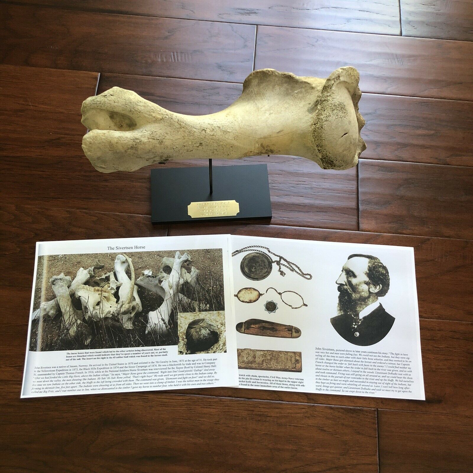 Battle of Little Bighorn * HORSE SKELETON Dug Artifact * Custer's Last Stand