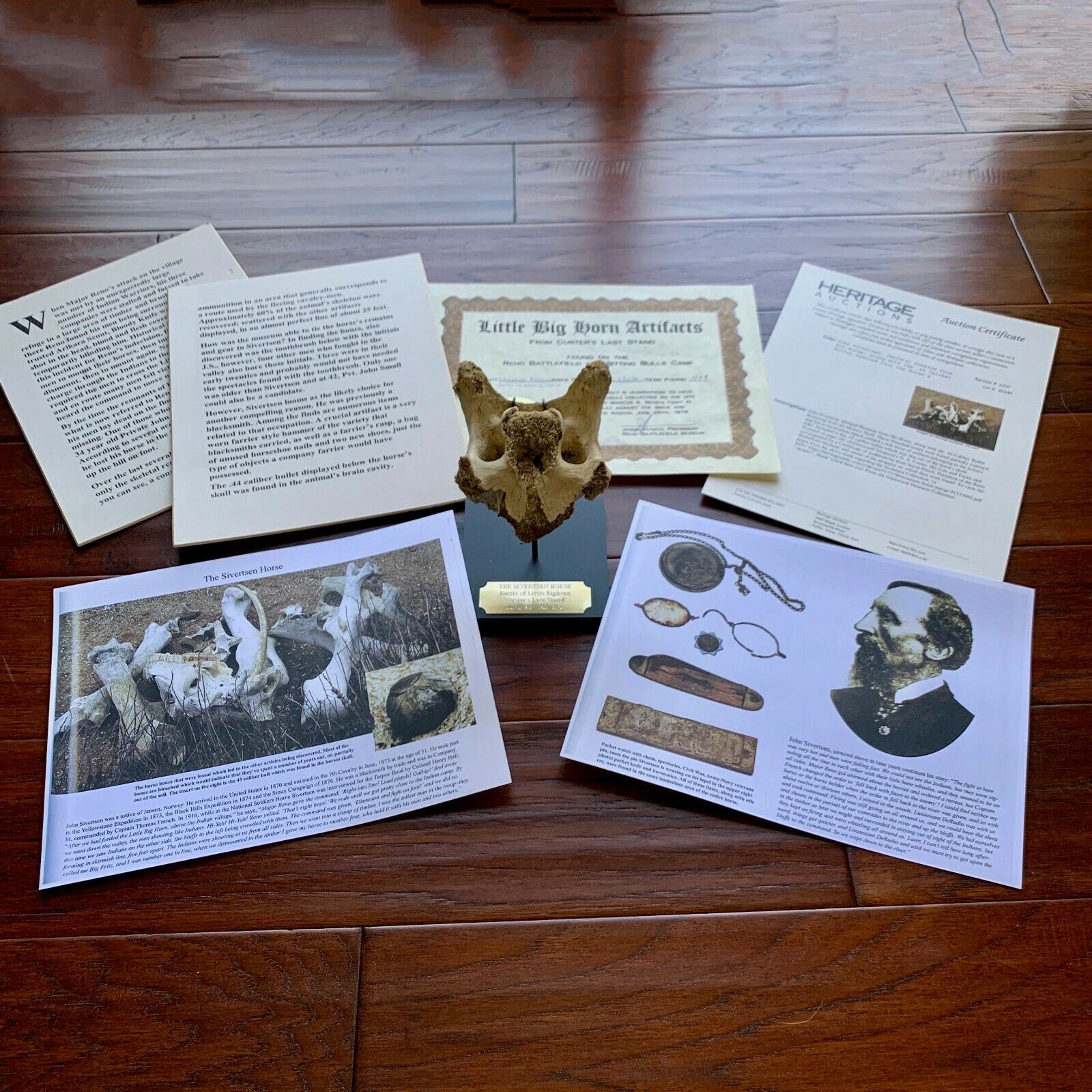 Battle of Little Bighorn * HORSE SKELETON Dug Artifact * Custer's Last Stand