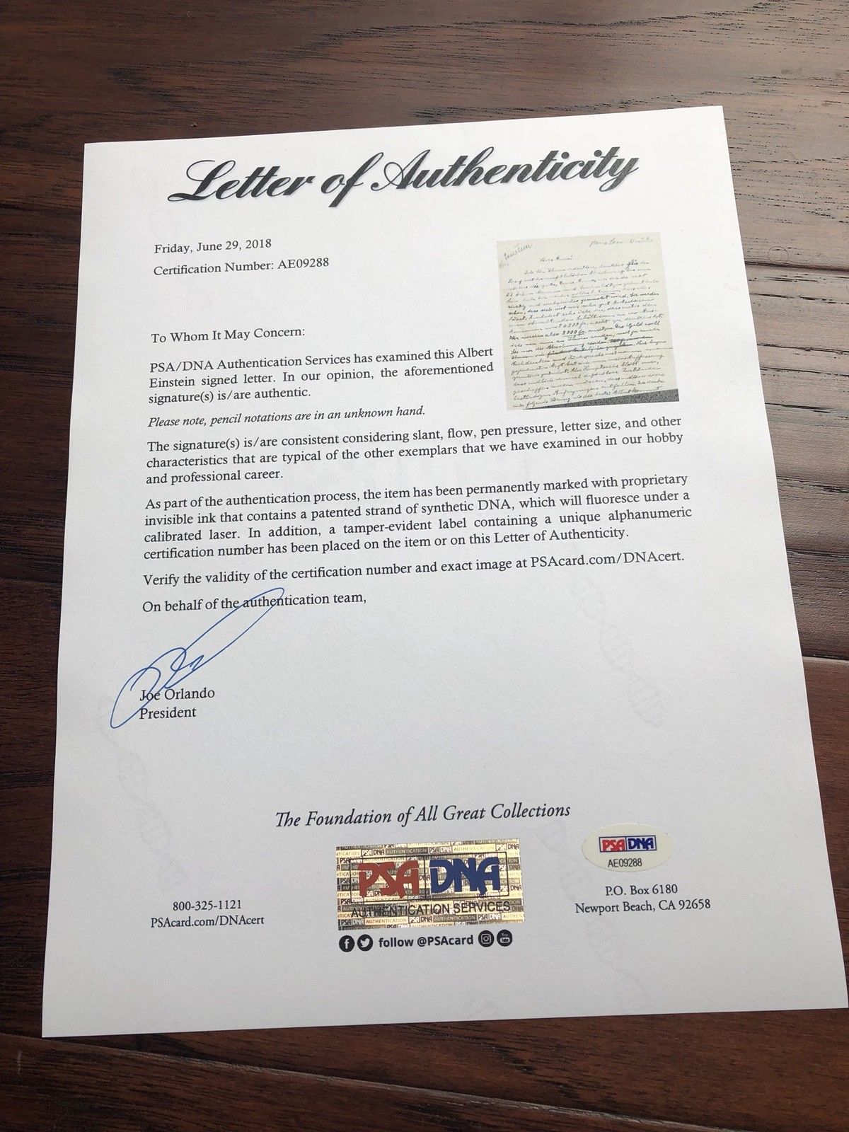 ALBERT EINSTEIN * PSA/DNA * Autograph Letter THEORY OF RELATIVITY Co-Discoverer