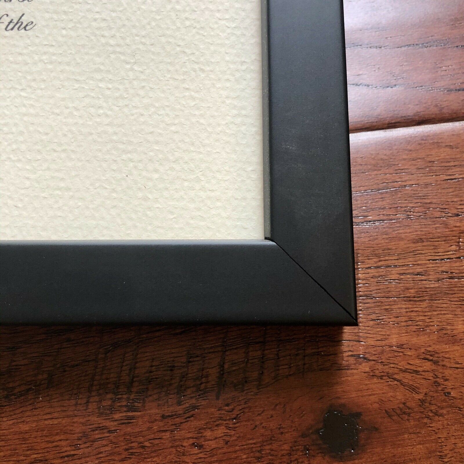 AMELIA EARHART * Original Flown Vega 5B Fabric * From Smithsonian Institute