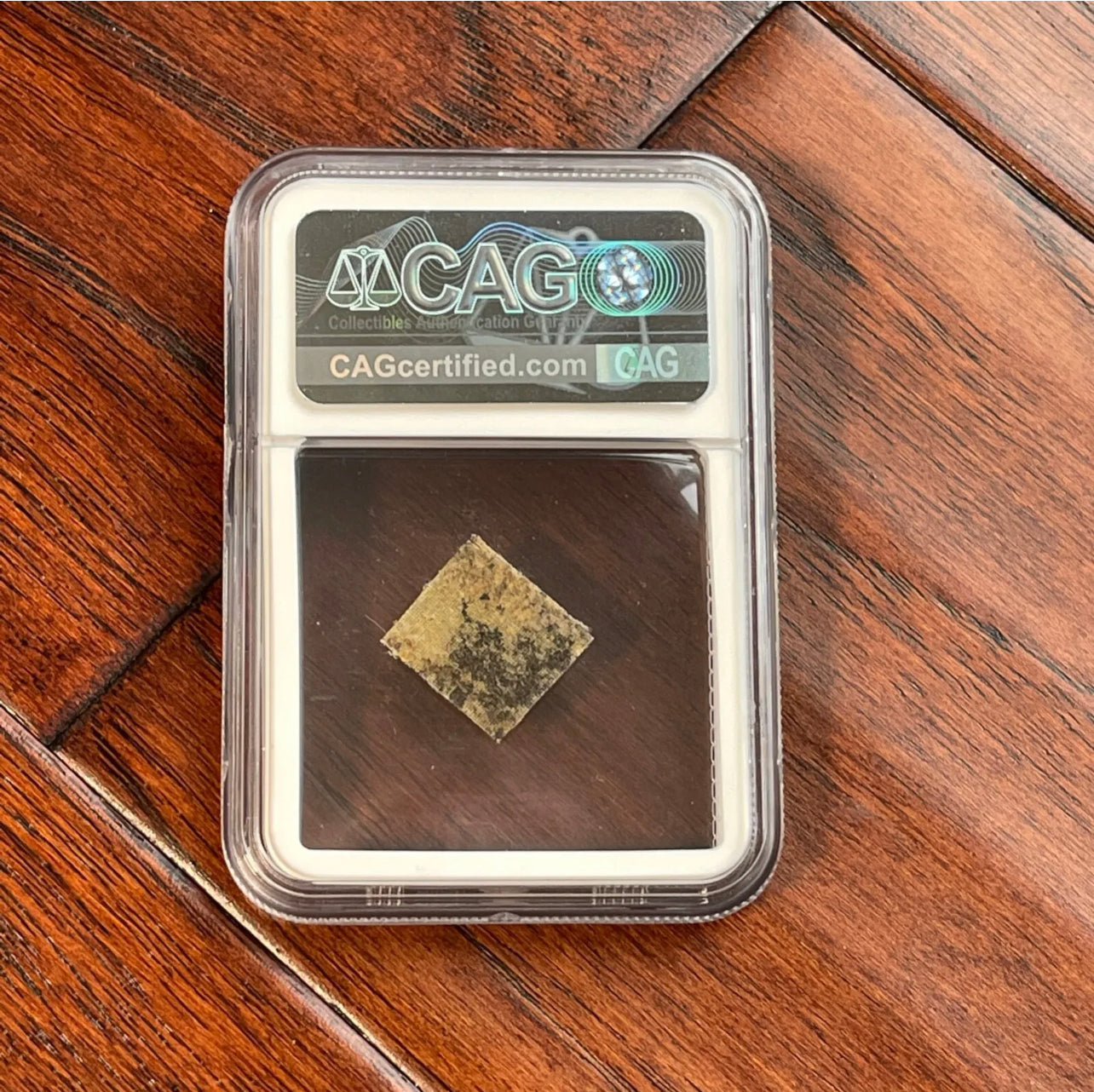 AMELIA EARHART * CAG * Original Flown Vega 5B Fabric * ex: Smithsonian Institute