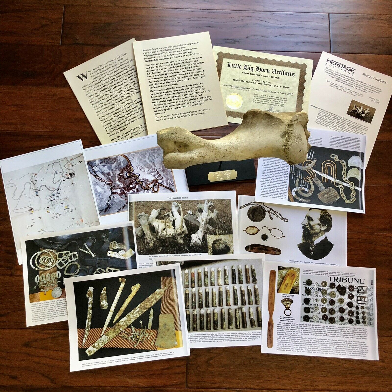 Battle of Little Bighorn * HORSE SKELETON Dug Artifact * Custer's Last Stand