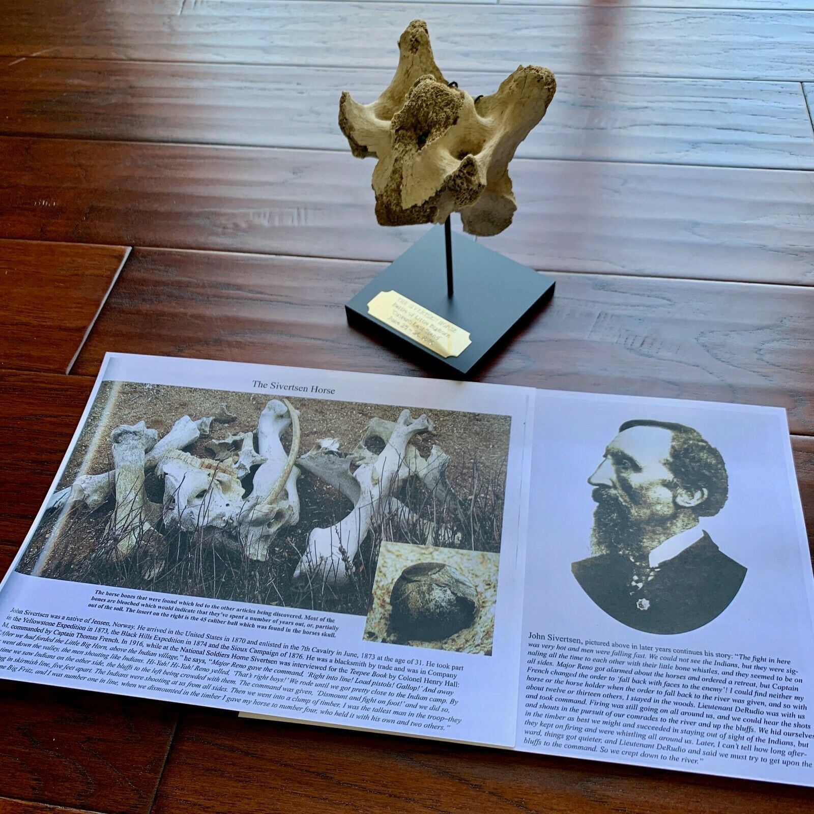 Battle of Little Bighorn * HORSE SKELETON Dug Artifact * Custer's Last Stand