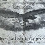 Image #14