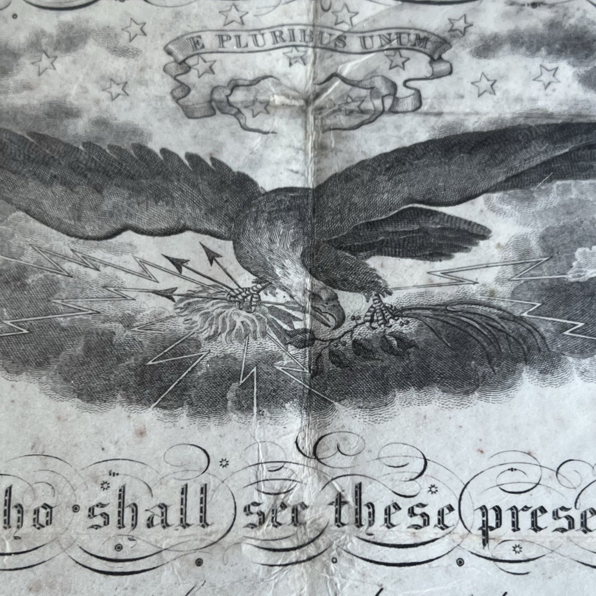 Image #14