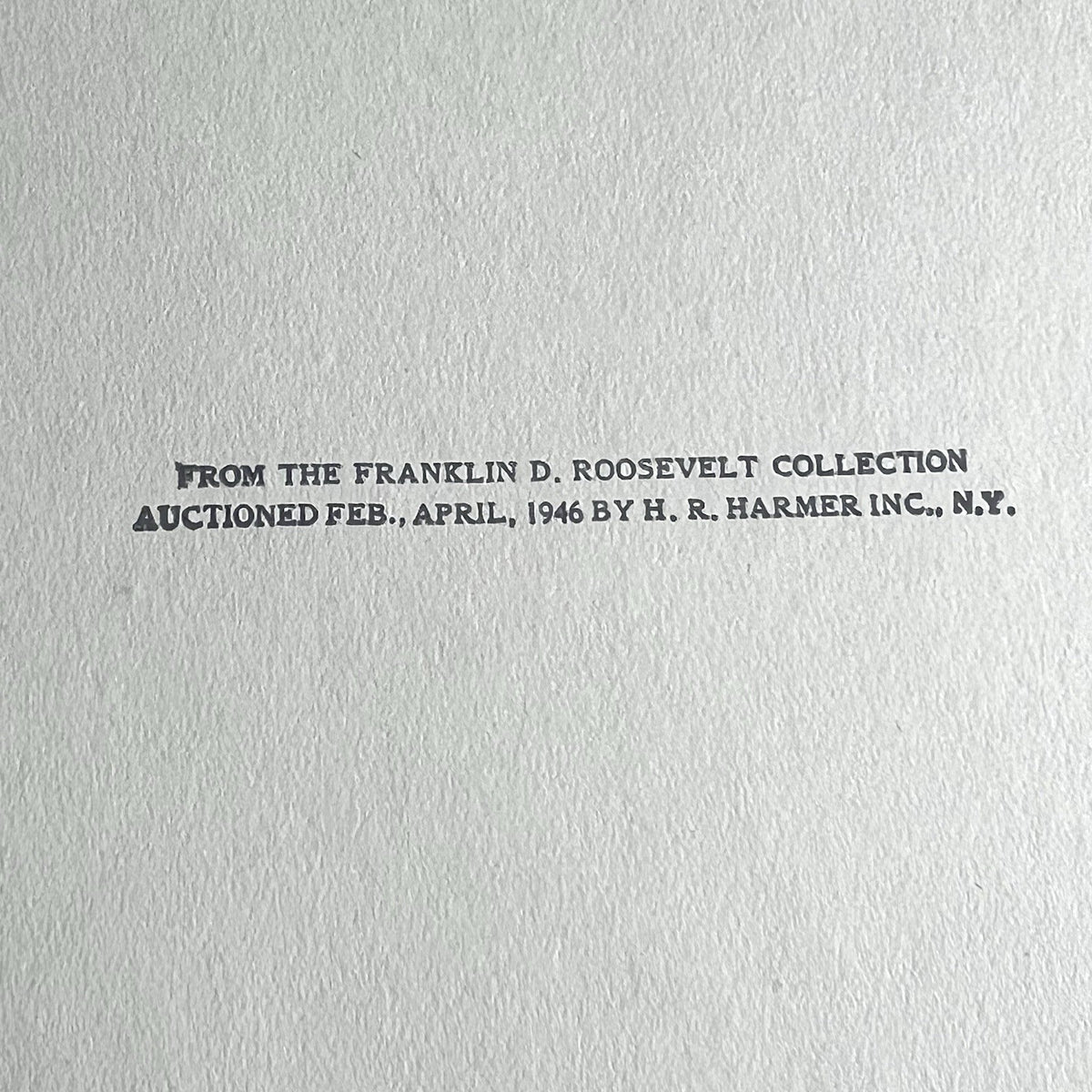 Image #17