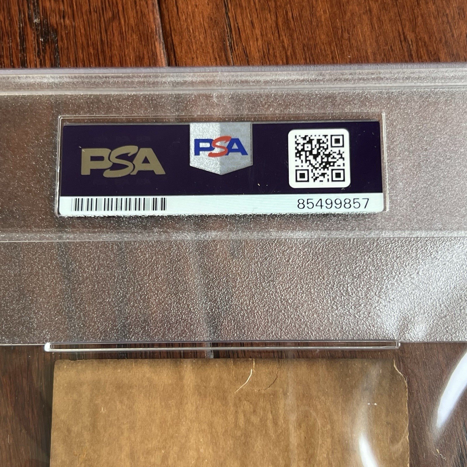 WILLIAM MCKINLEY * PSA/DNA Authentic Cut Signature OHIO Governor * POTUS