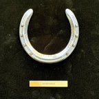 SECRETARIAT * Owned & Worn HORSESHOE Champion Thoroughbred * CLAIBORNE FARM COA