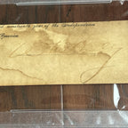 WILLIAM MCKINLEY * PSA/DNA Authentic Cut Signature OHIO Governor * POTUS