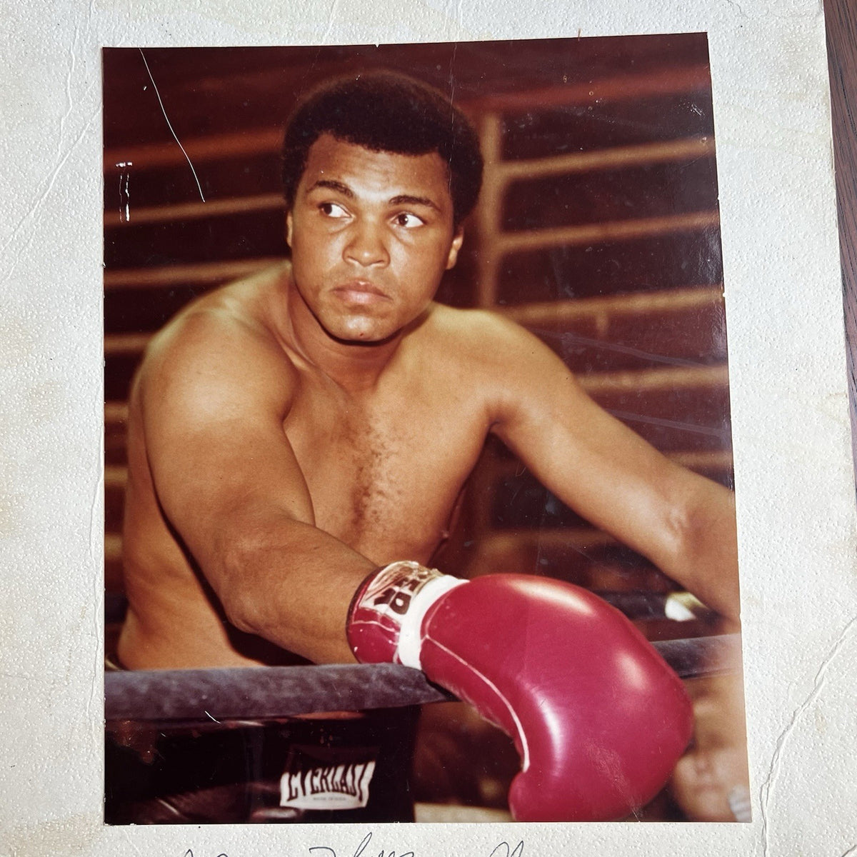 MUHAMMAD ALI * PSA/DNA * Autograph PHOTO Signed * Boxing