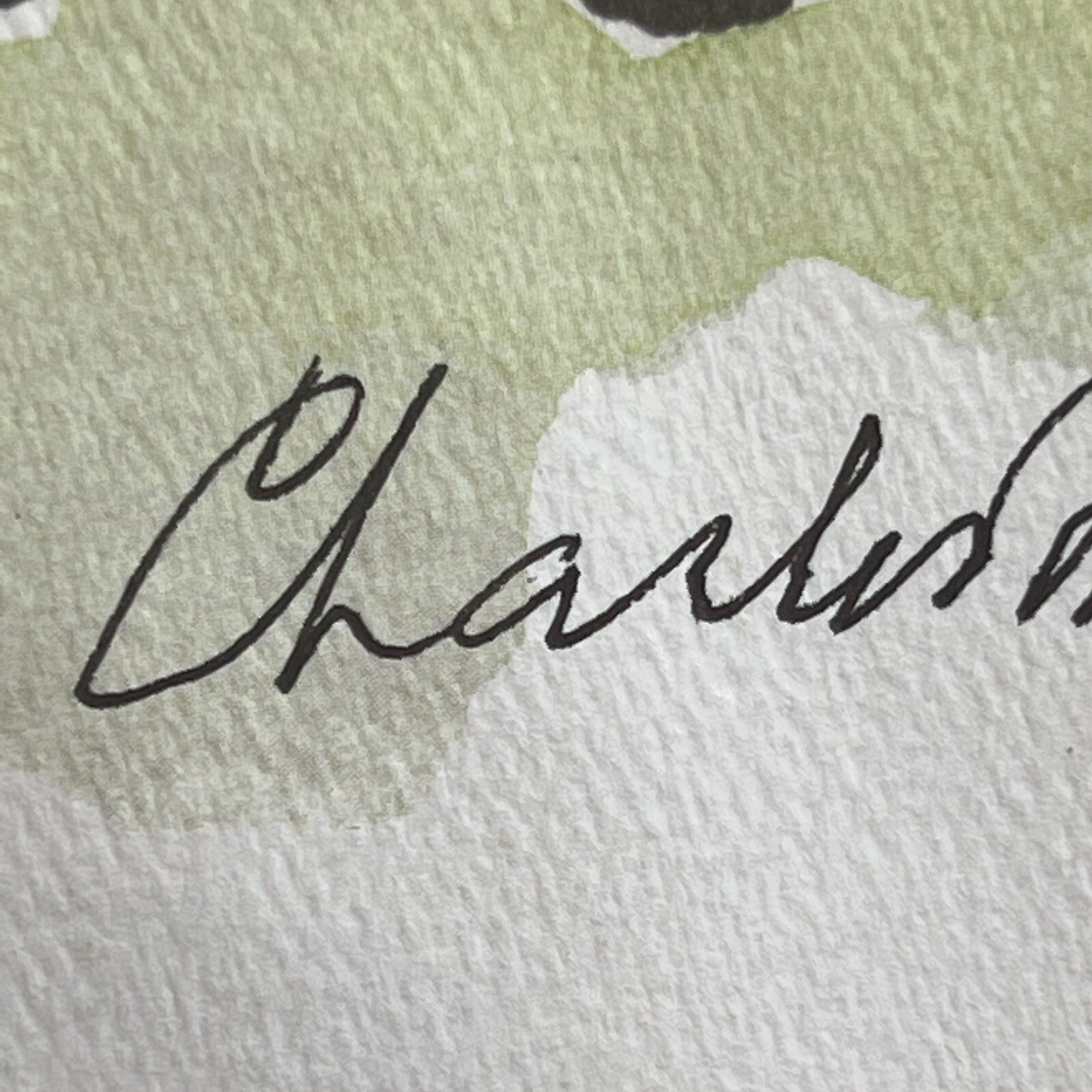 CHARLES SCHULZ * Limited Edition Lithograph Print Signed Doctor Is In Autograph