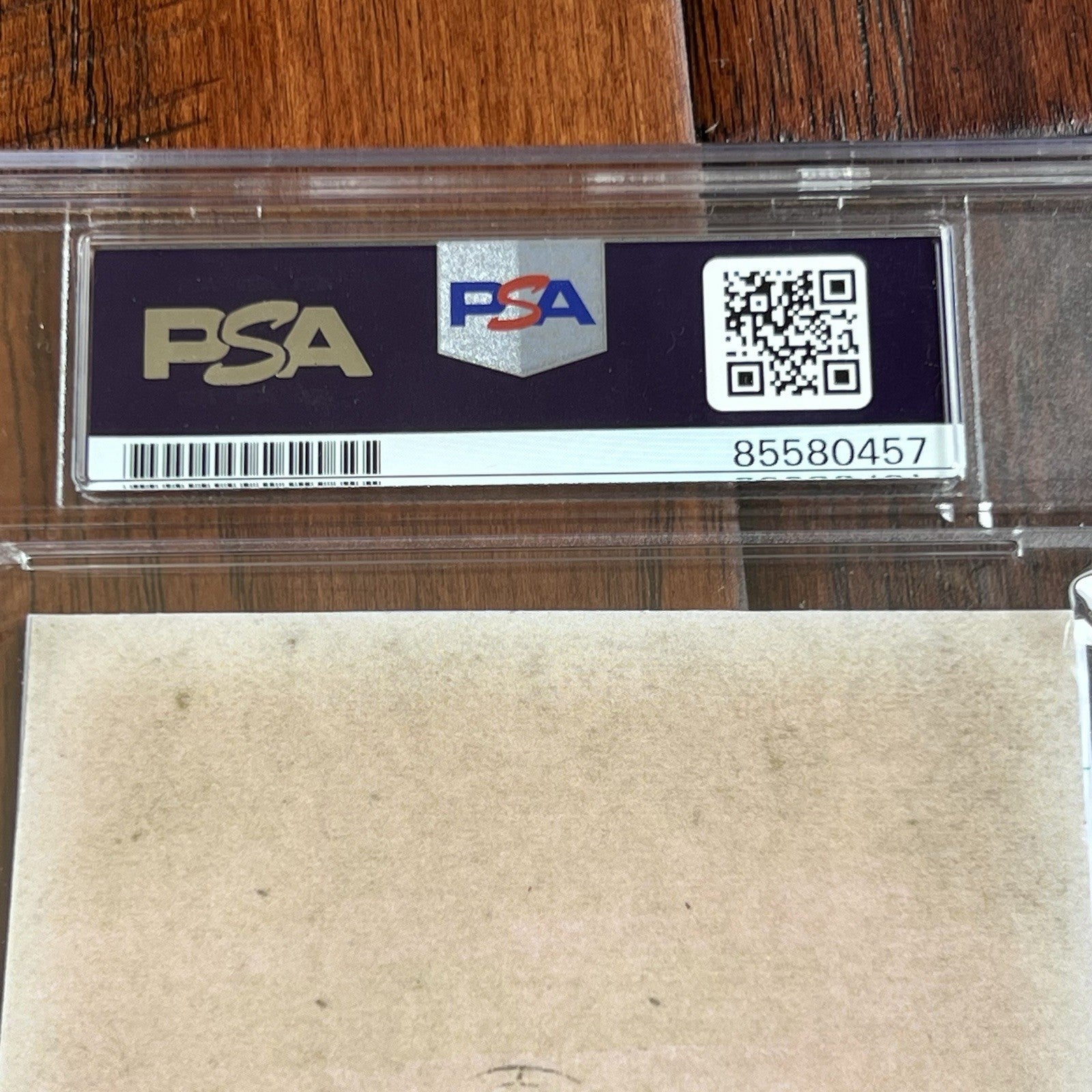 JAMES POLK * PSA * Autograph Cut Signature CDV Signed President Photograph