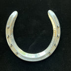 SECRETARIAT * Owned & Worn HORSESHOE Champion Thoroughbred * CLAIBORNE FARM COA