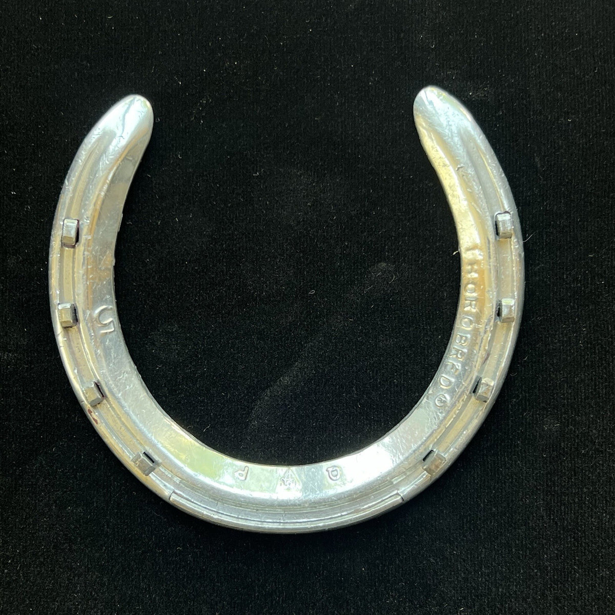 SECRETARIAT * Owned & Worn HORSESHOE Champion Thoroughbred * CLAIBORNE FARM COA