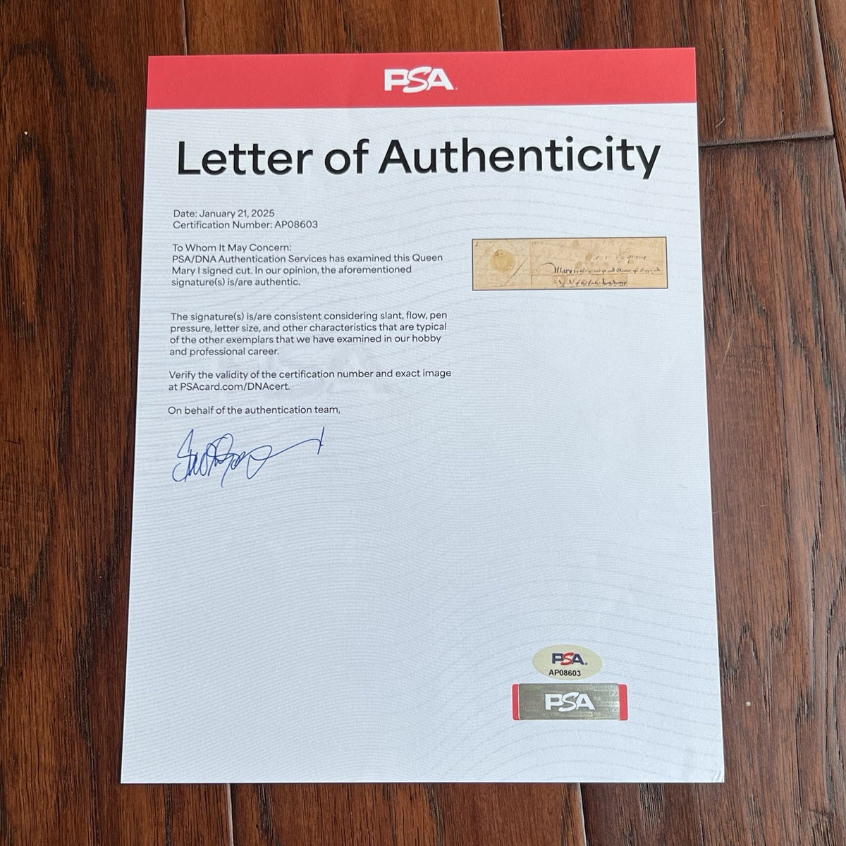 Queen MARY I * PSA * Scarce 1557 "Bloody Mary" Autograph Cut Signature Signed