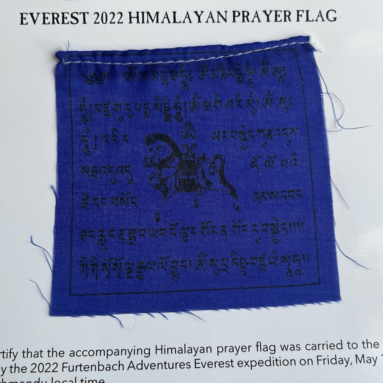 MOUNT EVEREST Genuine Tibetan PRAYER FLAG Carried to the Summit 29029 FT * Nepal