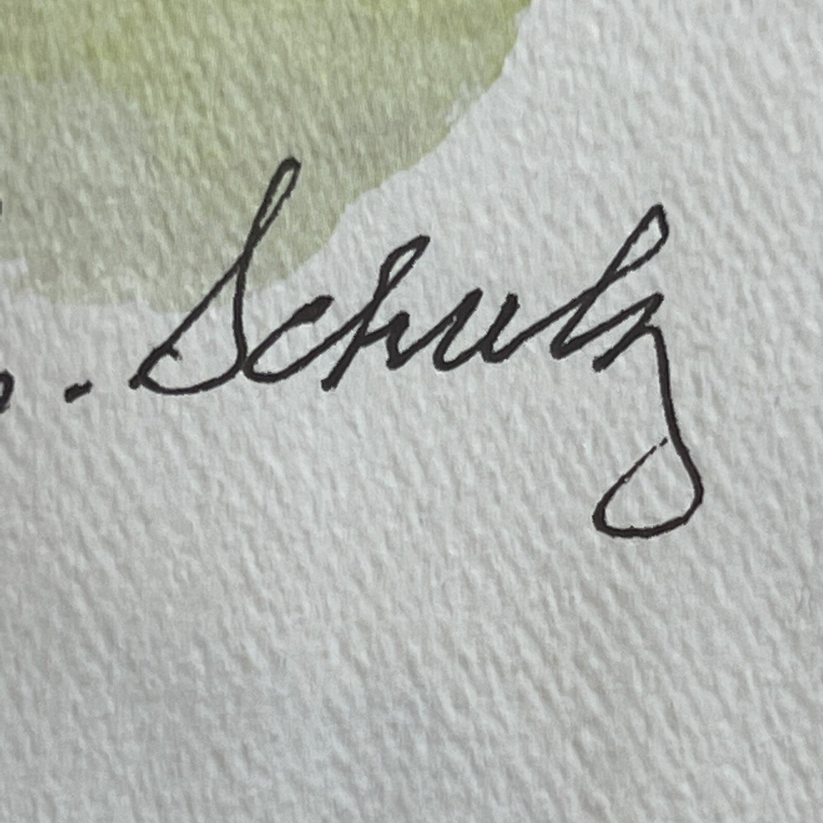 CHARLES SCHULZ * Limited Edition Lithograph Print Signed Doctor Is In Autograph