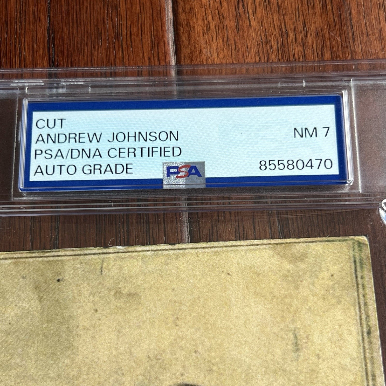 ANDREW JOHNSON * PSA * Autograph Cut FULL Signature CDV Photo SIGNED