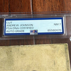 ANDREW JOHNSON * PSA * Autograph Cut FULL Signature CDV Photo SIGNED