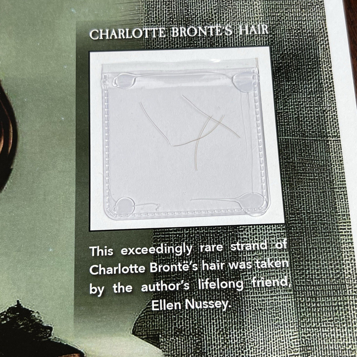 CHARLOTTE BRONTË * "Jane Eyre" Author Authentic Genuine HAIR STRAND Ellen Nussey
