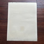 AMELIA EARHART * Original LARGE Flown Vega 5B Fabric Ex Smithsonian Institution