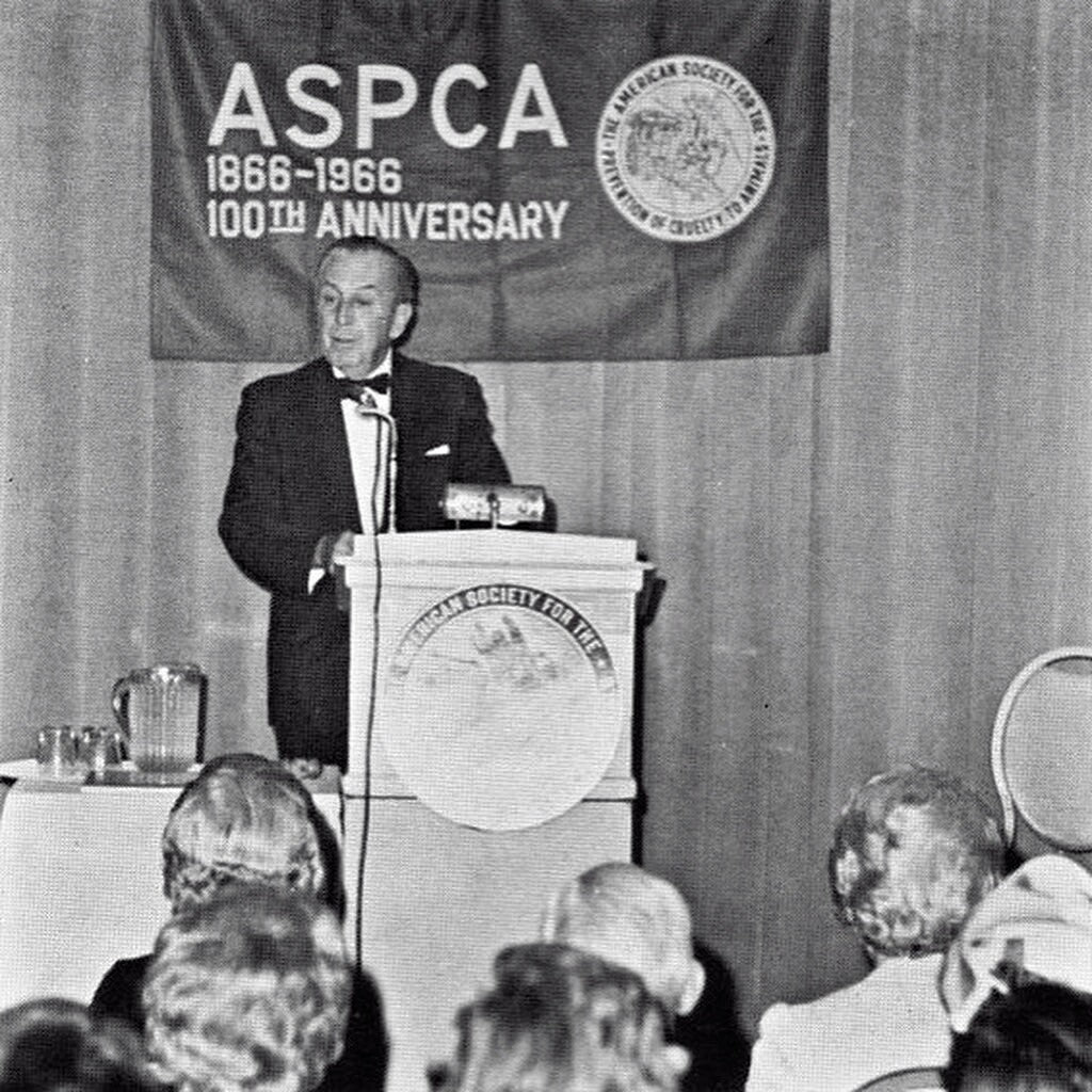 WALT DISNEY * Beckett BAS * Huge 5.5” ASPCA Autograph Cut Signed * UNINSCRIBED