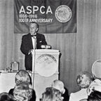 WALT DISNEY * Beckett BAS * Huge 5.5” ASPCA Autograph Cut Signed * UNINSCRIBED