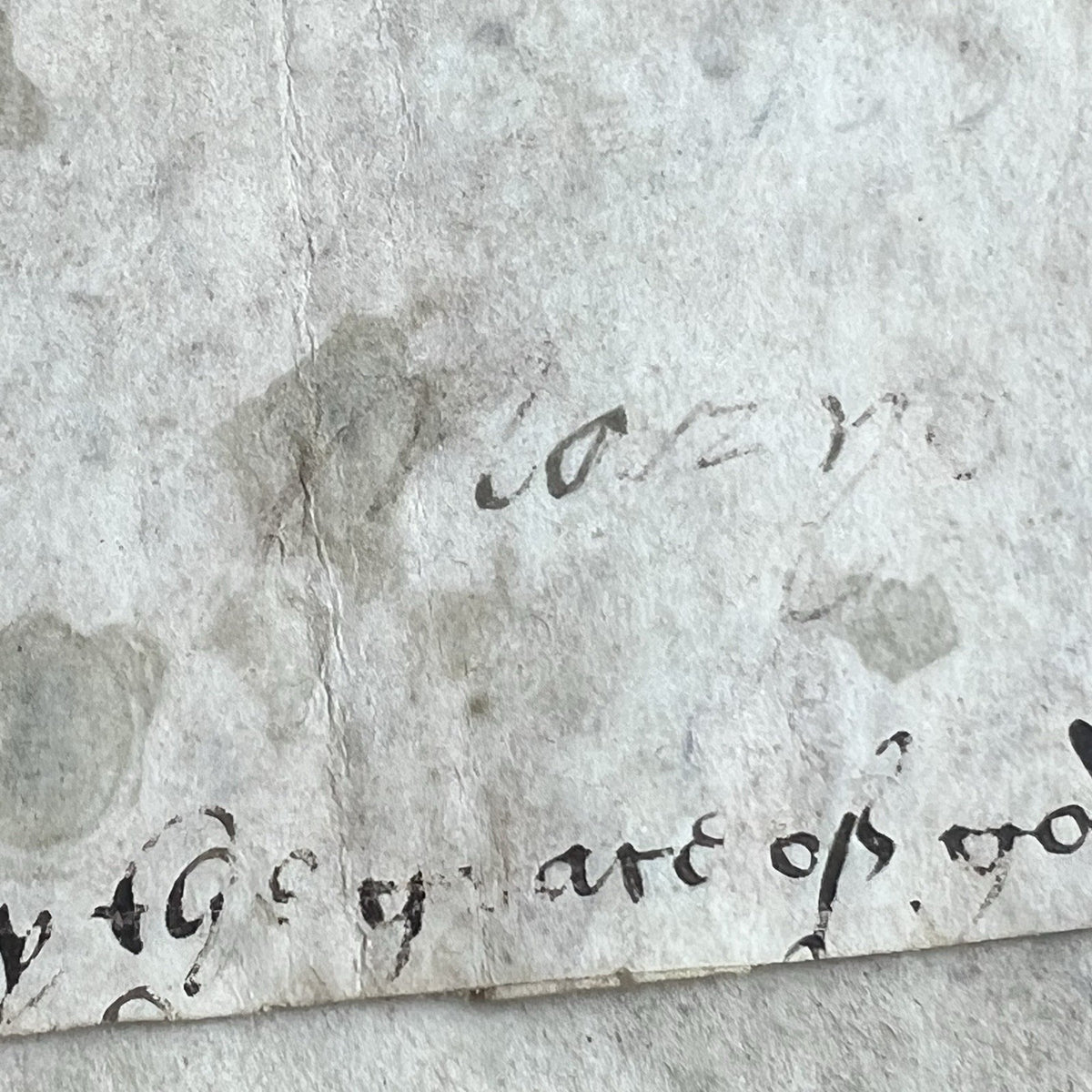 Queen MARY I * PSA * Scarce 1557 "Bloody Mary" Autograph Cut Signature Signed