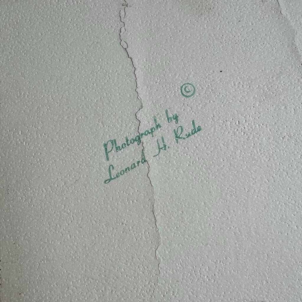 MUHAMMAD ALI * PSA/DNA * Autograph PHOTO Signed * Boxing