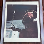 SPACE SELFIE * PSA TYPE 1 PHOTOGRAPH * Gemini 12 Red Number S6662926 I ALDRIN