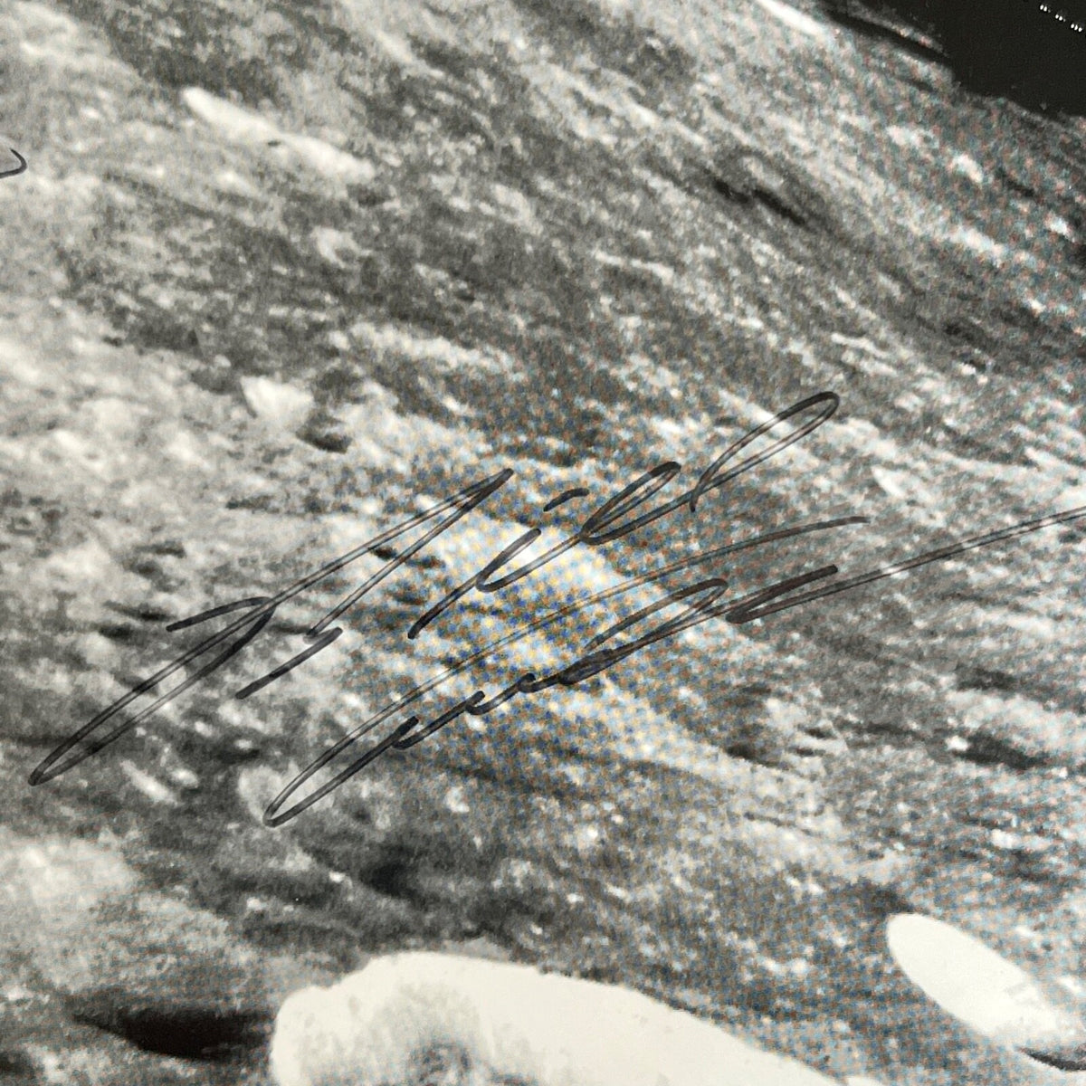 APOLLO 8 CREW SIGNED * WILLIAM BILL ANDERS LOVELL * Autograph Earthrise Poster