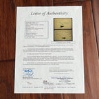 THEODORE ROOSEVELT & WILLIAM McKINLEY * PSA & JSA * Autograph Album Page SIGNED