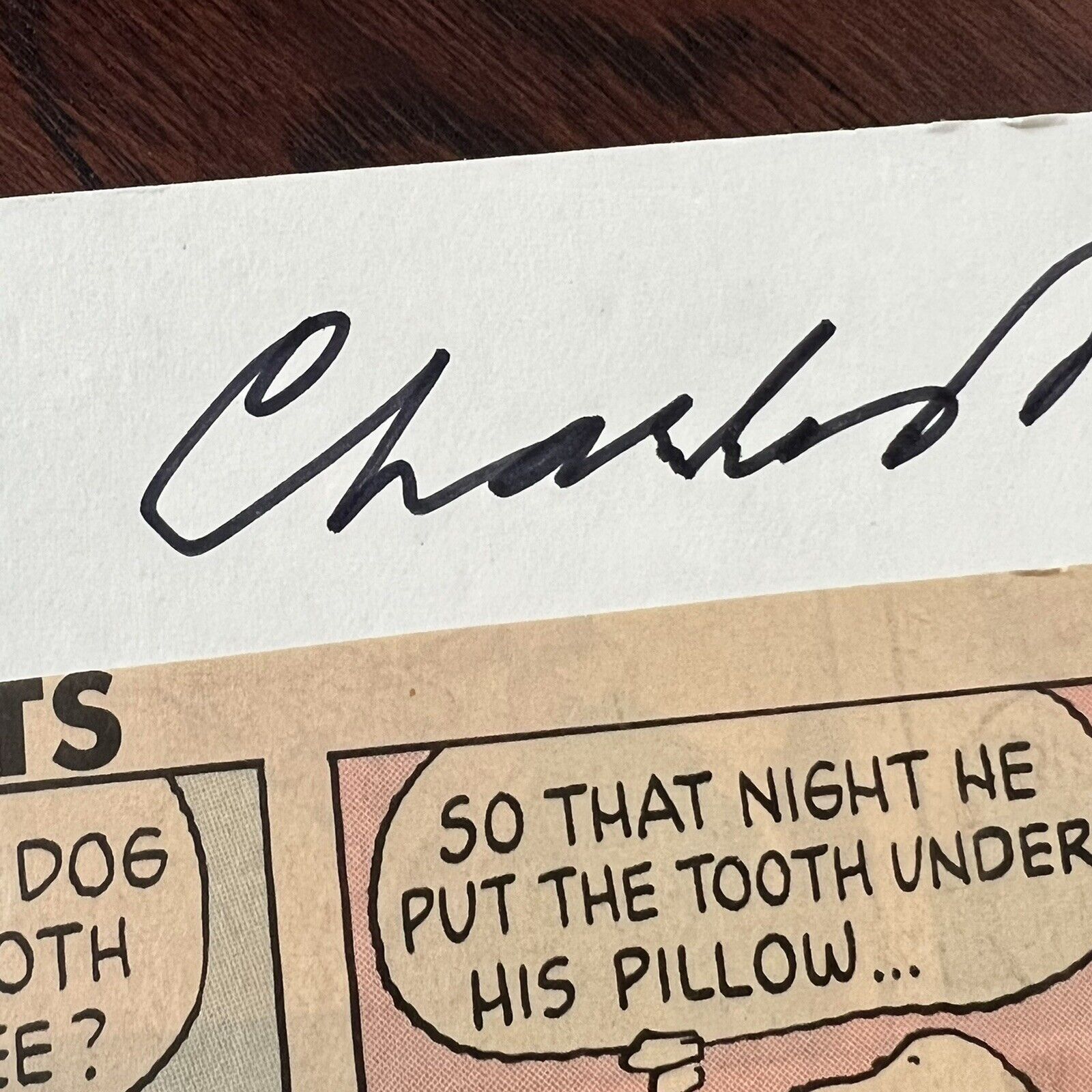 CHARLES SCHULZ * JSA LOA * Hand Signed Snoopy Peanuts Comic Strip Autograph