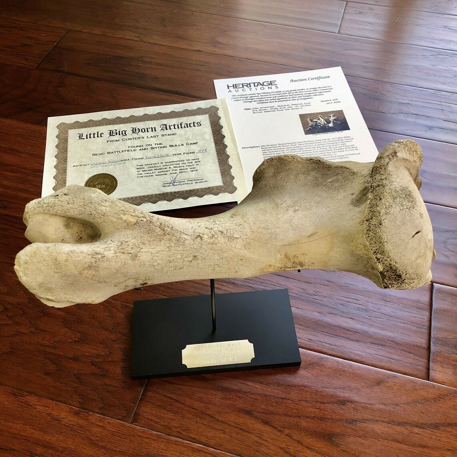 Battle of Little Bighorn * HORSE SKELETON Dug Artifact * Custer's Last Stand
