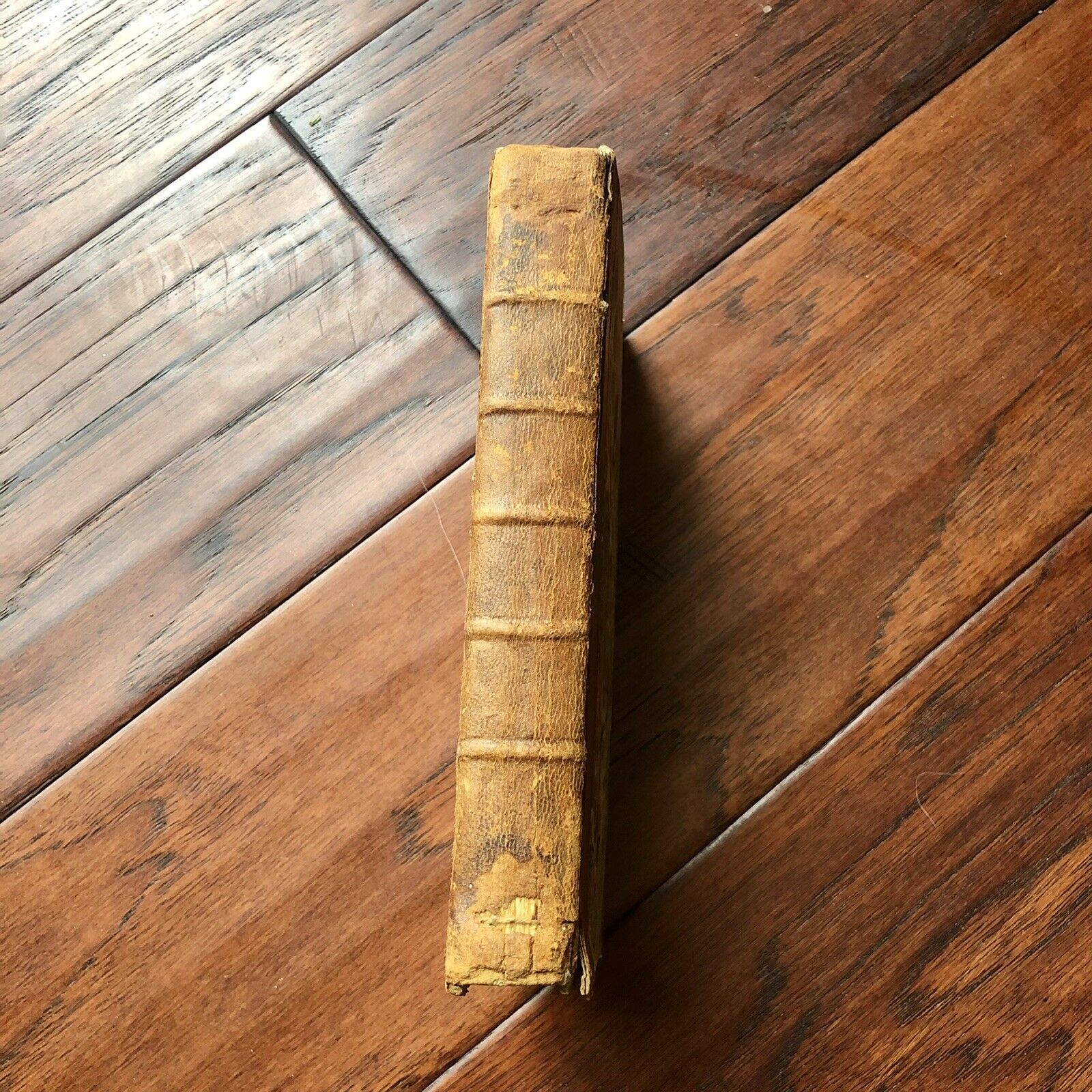 JAMES MADISON * Beckett * Signed Book from his Library On Native Wars Autograph