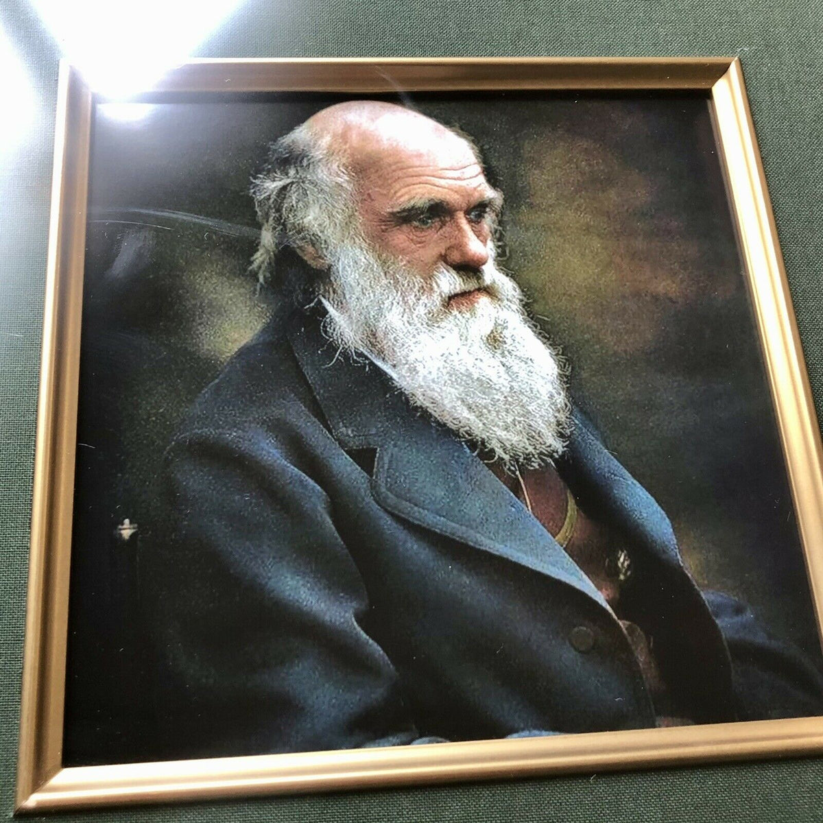 CHARLES DARWIN * JSA * Handwritten Autograph Mathematical Equations * Not Signed