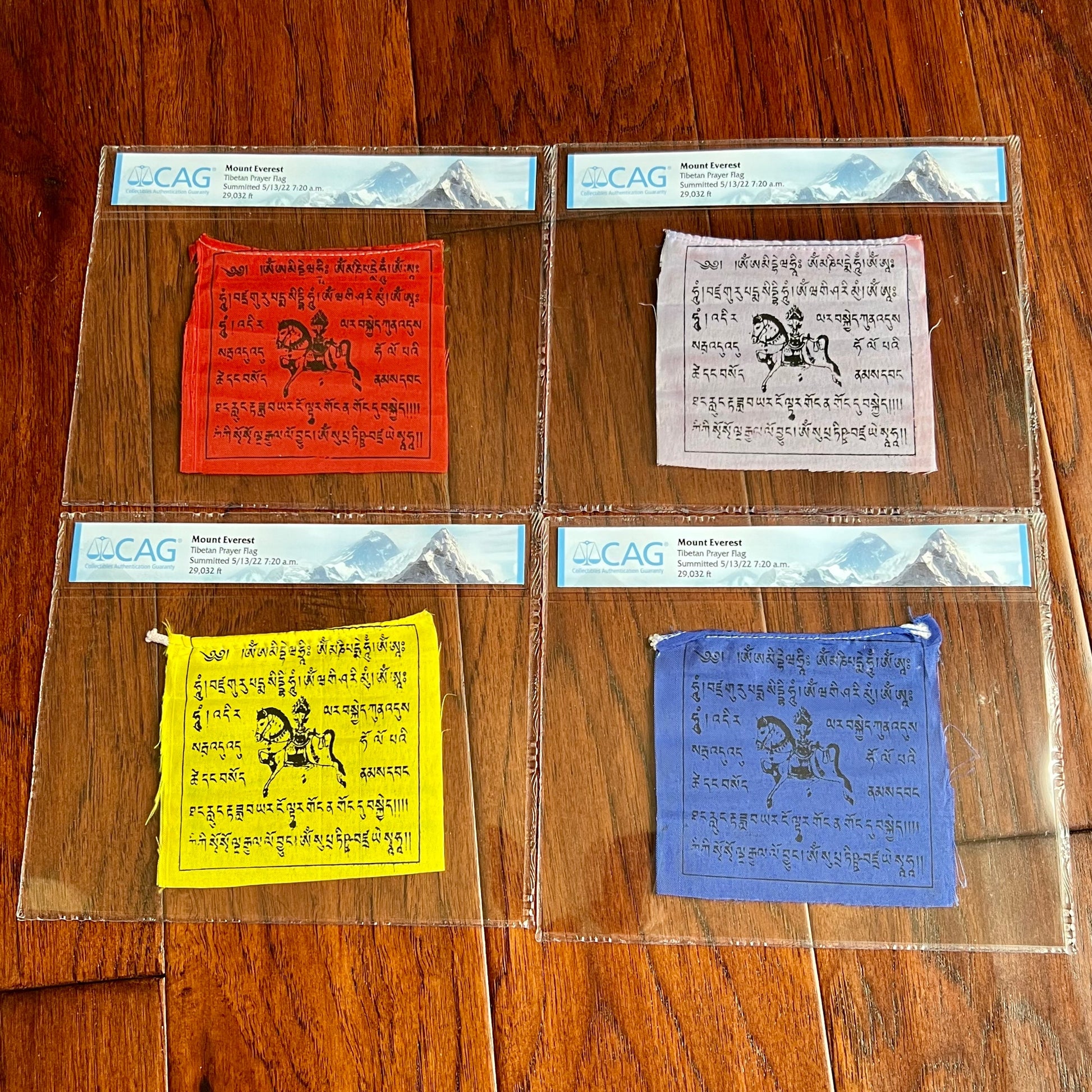 MOUNT EVEREST * CAG * Genuine Flags Carried to Summit at 29029 FT