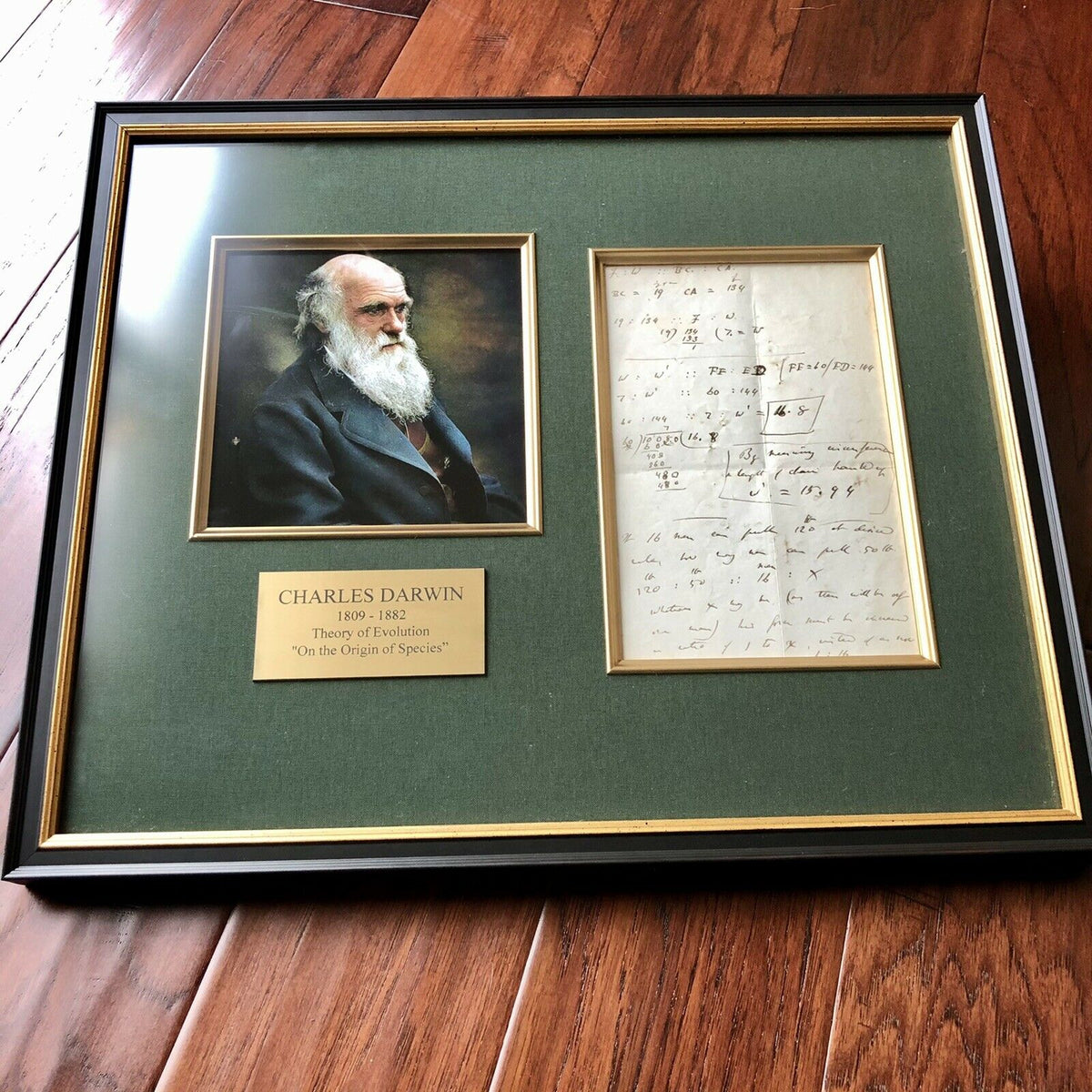 CHARLES DARWIN * JSA * Handwritten Autograph Mathematical Equations * Not Signed